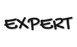 Expert (Китай)