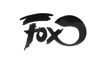 Fox (Україна)