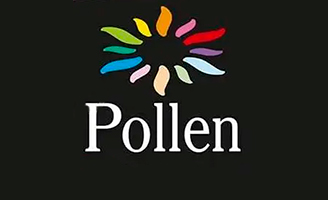 Pollen (Румунія)