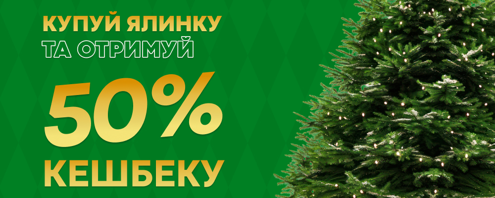 🎄 Подарим половину стоимости елки — на бонусы!🎄