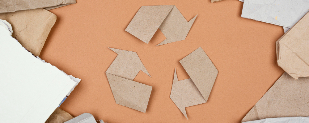 Эко-бумага и переработка: как выбирать осознанно♻️