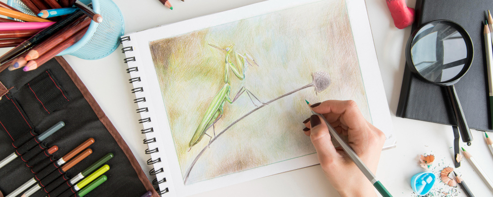 Як обрати скетчбук для малювання: головні критерії та поради експертів