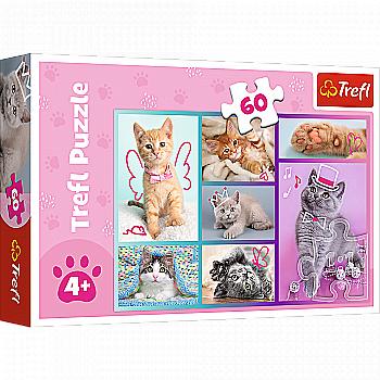 Пазл "60" - Милі котики, Trefl, 17373 Пазл "60" - Милі котики, Trefl, 17373