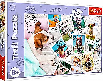 Пазл "300" - Фото з відпустки, Trefl, 23003 Пазл "300" - Фото з відпустки, Trefl, 23003