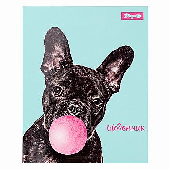 Щоденник шк. інтегральний (укр.) "Bubble" 911458 1 Вересня 