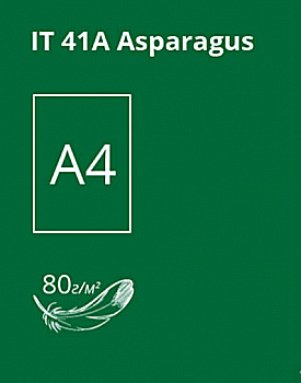 Бумага A4 100 л, 80 г/м2, темн Asparagus 41A (темно-зеленый), Crystal Color Paper Бумага A4 100 л, 80 г/м2, темн Asparagus 41A (темно-зеленый), Crystal Color Paper