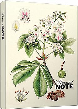 Блокнот "NOTEBOOK - НАТАТНIК Каштан" (0910) Блокнот "NOTEBOOK - НАТАТНIК Каштан" (0910)