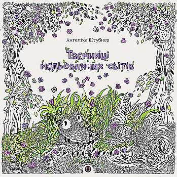 Книга для дозвілля. Штубнер А. Таємниці мальовничих світів" (у) (3720) Книга для дозвілля. Штубнер А. Таємниці мальовничих світів" (у) (3720)