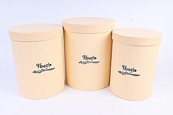 Подарункова коробка вел, W9670