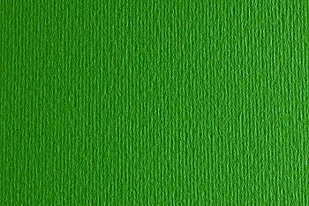 Папір для дизайну Elle Erre А4 (21*29,7см), №11 verde, 220г/м2, зелений, дві текстури, Fabriano Папір для дизайну Elle Erre А4 (21*29,7см), №11 verde, 220г/м2, зелений, дві текстури, Fabriano