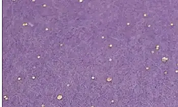 Фетр м`який з гліт., бузковий, 21*30см, 741453 Фетр м`який з гліт., бузковий, 21*30см, 741453