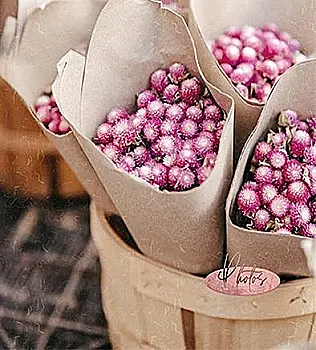 Фотоальбом Ufo 10*15*200 PP-46200 Florentine Фотоальбом Ufo 10*15*200 PP-46200 Florentine