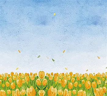 Фотоальбом Ufo 10*15*200 C-46200 Field Фотоальбом Ufo 10*15*200 C-46200 Field