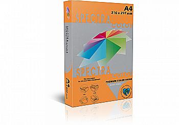 Бумага А4 500 л, 80 г/м², интенсив, оранжевый Sinarspectra 240 Бумага А4 500 л, 80 г/м², интенсив, оранжевый Sinarspectra 240
