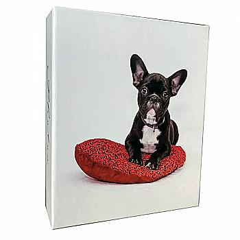 Фотоальбом EVG 10*15*200 BKM46200 Dog