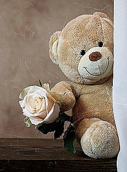 Фотоальбом Ufo 20sheet S22*32 Congratulations Фотоальбом Ufo 20sheet S22*32 Congratulations