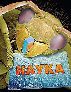 Книга "Енциклопедія повна "Наука" Фарндон Дж., Грехем Я., Паркер С." (у) (8727) Книга "Енциклопедія повна "Наука" Фарндон Дж., Грехем Я., Паркер С." (у) (8727)