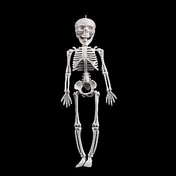 Декорація Halloween, скелет, G184 Декорація Halloween, скелет, G184