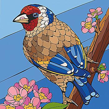 Набор для росписи по номерам 30*30 см "Щиголь", 11532-AC