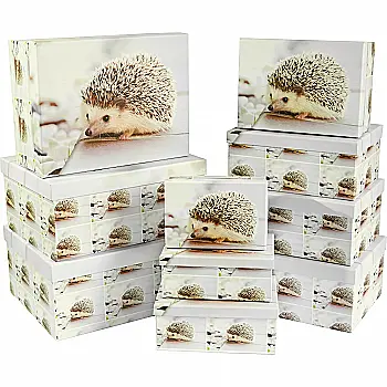 Подарункова картонна прямокутна коробка, 1113768277 Подарункова картонна прямокутна коробка, 1113768277