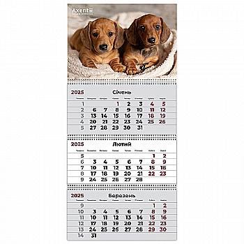 Календар настінний квартальний 2025 р.,3 пр. Dogs 1, 8803-25-16-A Календар настінний квартальний 2025 р.,3 пр. Dogs 1, 8803-25-16-A