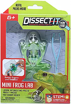 Развивающий набор Slimy Lab "Анатомія тварин - Жабеня" S, 38083