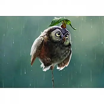 Набір з алмазною мозаїкою "Під дощем", без підрамника 30*40см, H8188 Набір з алмазною мозаїкою "Під дощем", без підрамника 30*40см, H8188