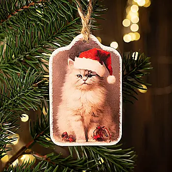Листівка "Котик в шапці", lfd0144 Листівка "Котик в шапці", lfd0144