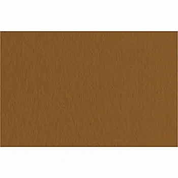 Папір для пастелі Tiziano A3, №09 caffe, (коричневий) Папір для пастелі Tiziano A3, №09 caffe, (коричневий)