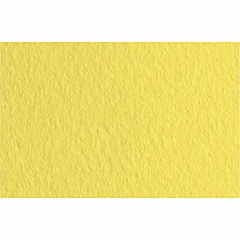 Папір для пастелі Tiziano 50*70 20 limone 160г. лимонний Папір для пастелі Tiziano 50*70 20 limone 160г. лимонний