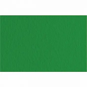 Бумага для пастели Tiziano А-4 37 biliardo (зелёный) Бумага для пастели Tiziano А-4 37 biliardo (зелёный)