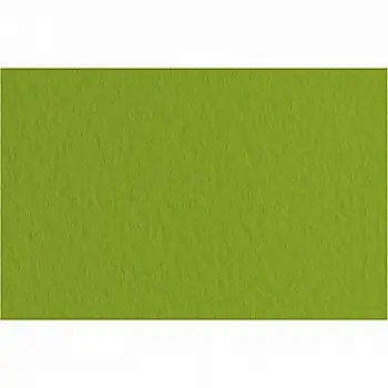Бумага для пастели Tiziano А3, №43 pistacch, (фисташковый) Бумага для пастели Tiziano А3, №43 pistacch, (фисташковый)