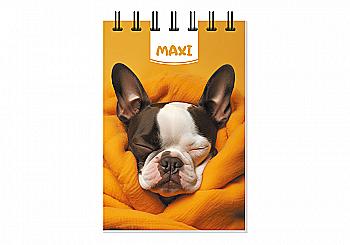 Блокнот А7, пластикова обкл., спіраль, 80 арк., клітинка, MX26310 Блокнот А7, пластикова обкл., спіраль, 80 арк., клітинка, MX26310