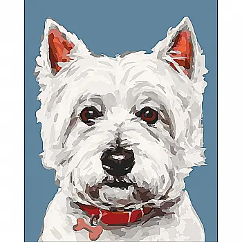 Набір для розпису по номерах 40*50 см "Вайт тер`єр", 11652-AC