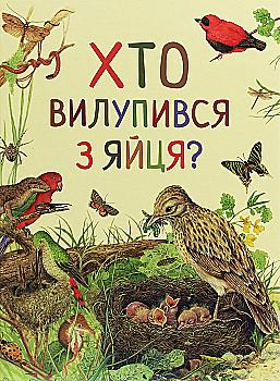 Книга "Ренне. Кто вылупился из яйца? Удивительный мир животных"(у), 121099 (0584) Книга "Ренне. Кто вылупился из яйца? Удивительный мир животных"(у), 121099 (0584)