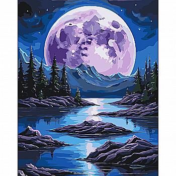 Набір для розпису по номерах 40*50 см "Нічна магія", 11059-AC