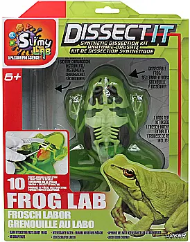 Развивающий набор Slimy Lab "Анатомия животных - Лягушонок", 38070