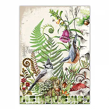 Рушник кухонний Мох та дуб MDW, 810397 Рушник кухонний Мох та дуб MDW, 810397