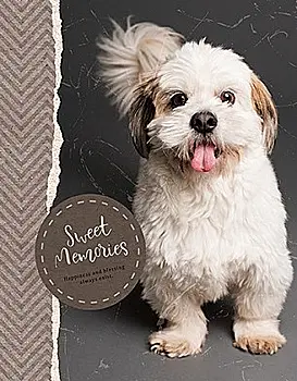 Фотоальбом Ufo 10*15*200 PP-46200 Funny Фотоальбом Ufo 10*15*200 PP-46200 Funny