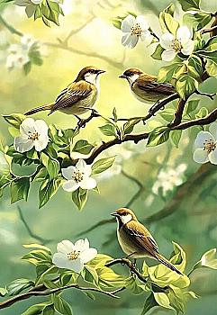 Листівка MriyTaDiy, "Пташиний щебет" Листівка MriyTaDiy, "Пташиний щебет"