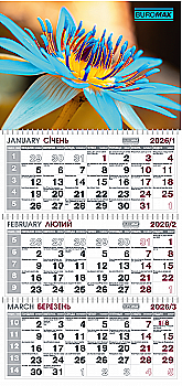Календарь настенный квартальный на 2026 г. (3 пружины) цветы, BM.2105.4 Календарь настенный квартальный на 2026 г. (3 пружины) цветы, BM.2105.4