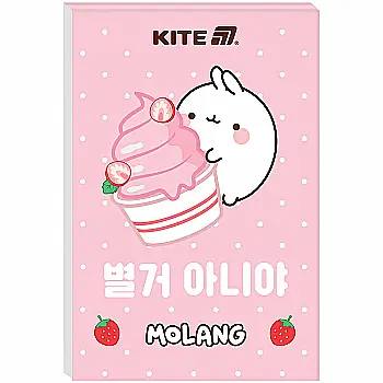 Блокнот 48арк., 70*105 мм ML, ML25-224 Блокнот 48арк., 70*105 мм ML, ML25-224