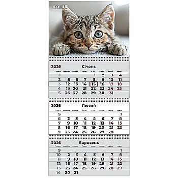 Календар настінний квартальний 2026 р.,3 пр. Cats 1, 8803-26-13-A Календар настінний квартальний 2026 р.,3 пр. Cats 1, 8803-26-13-A