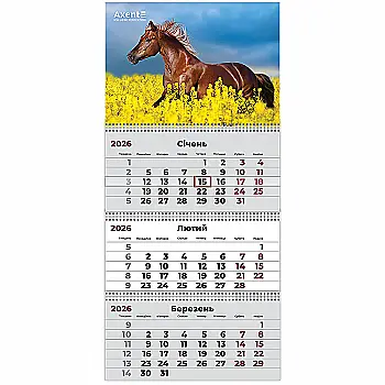 Календар настінний квартальний 2026 р.,3 пр. Horses 1, 8803-26-7-A Календар настінний квартальний 2026 р.,3 пр. Horses 1, 8803-26-7-A