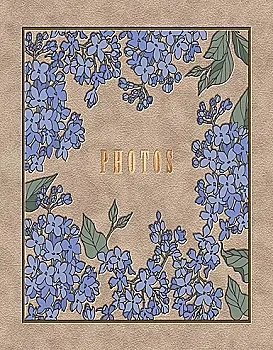 Фотоальбом Ufo 10*15*200 PP-46200 Moment