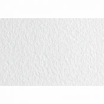 Бумага для пастели Tiziano 50*70 01 bianco 160г. (белый)
