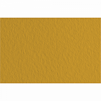 Бумага для пастели Tiziano 50*70 06 mandorla 160г. (кофейный)