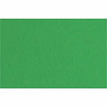 Бумага для пастели Tiziano 50*70 12 prato 160г. (зелёный)