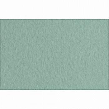 Бумага для пастели Tiziano 50*70 13 salvia 160г. зелёный