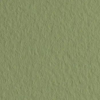 Бумага для пастели Tiziano 50*70 14 muschio 160г. зелёный